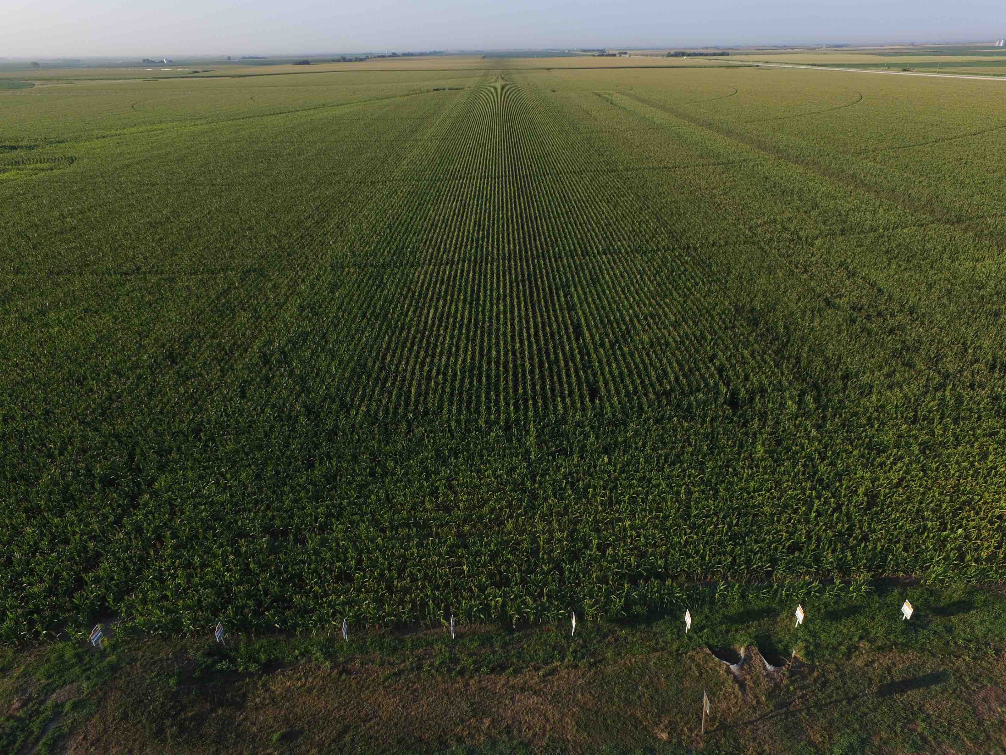 Is there a hole in your precision ag bucket?