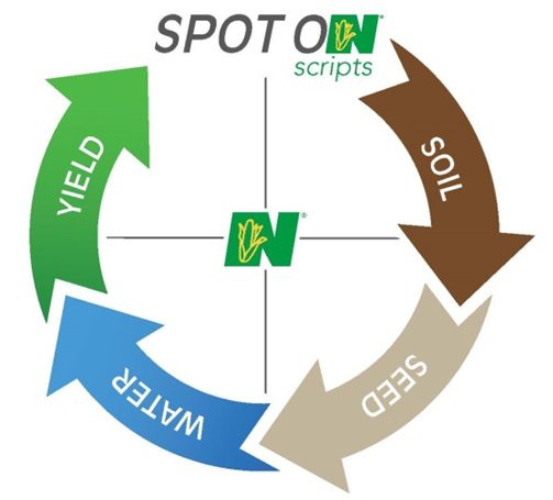 Norder Supply assists Growers with Seed and Nitrogen Management