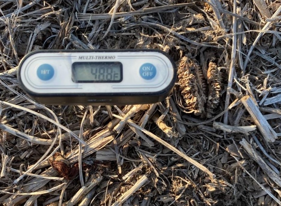 Cold Soil Planting