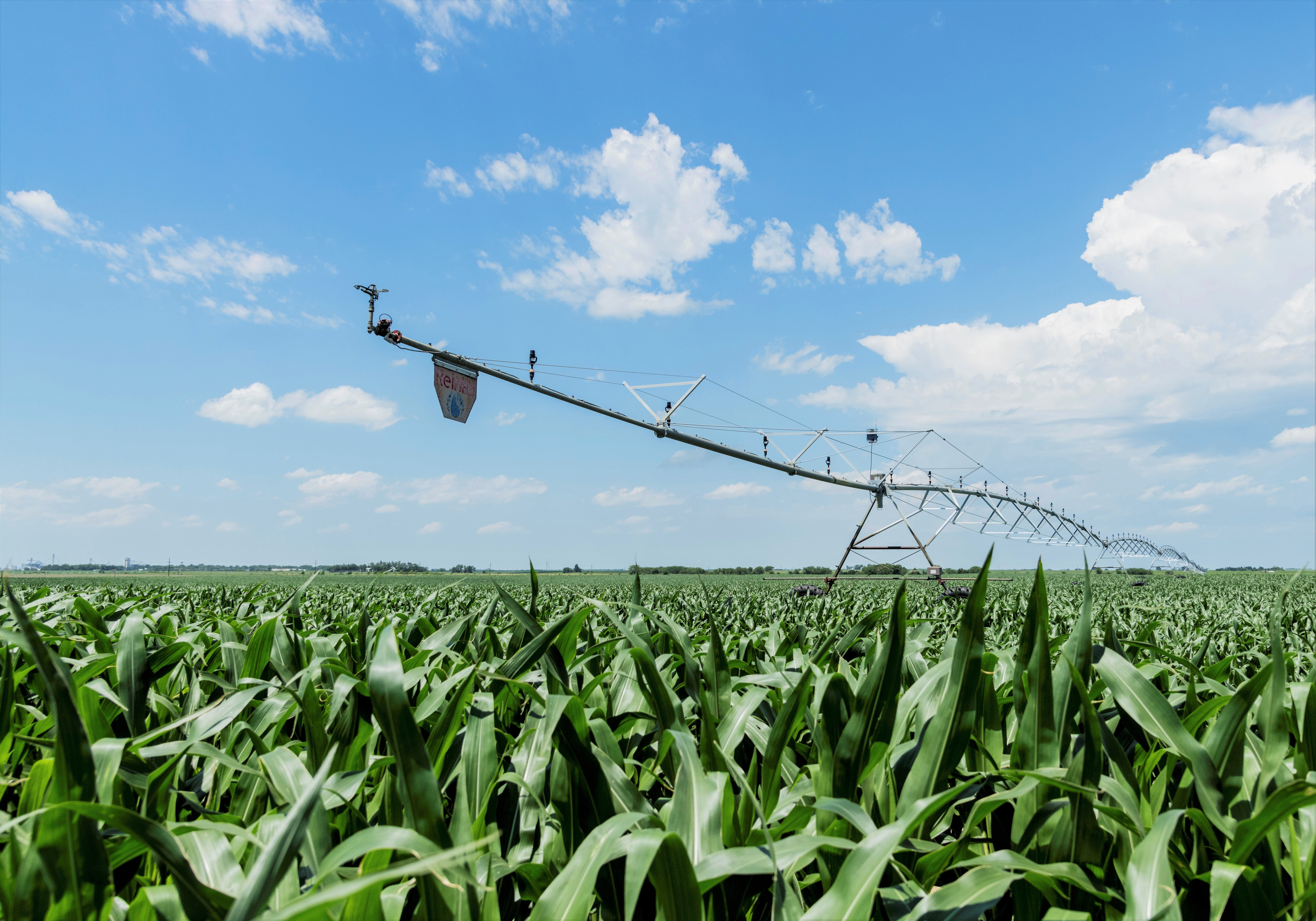 Early Season Irrigation