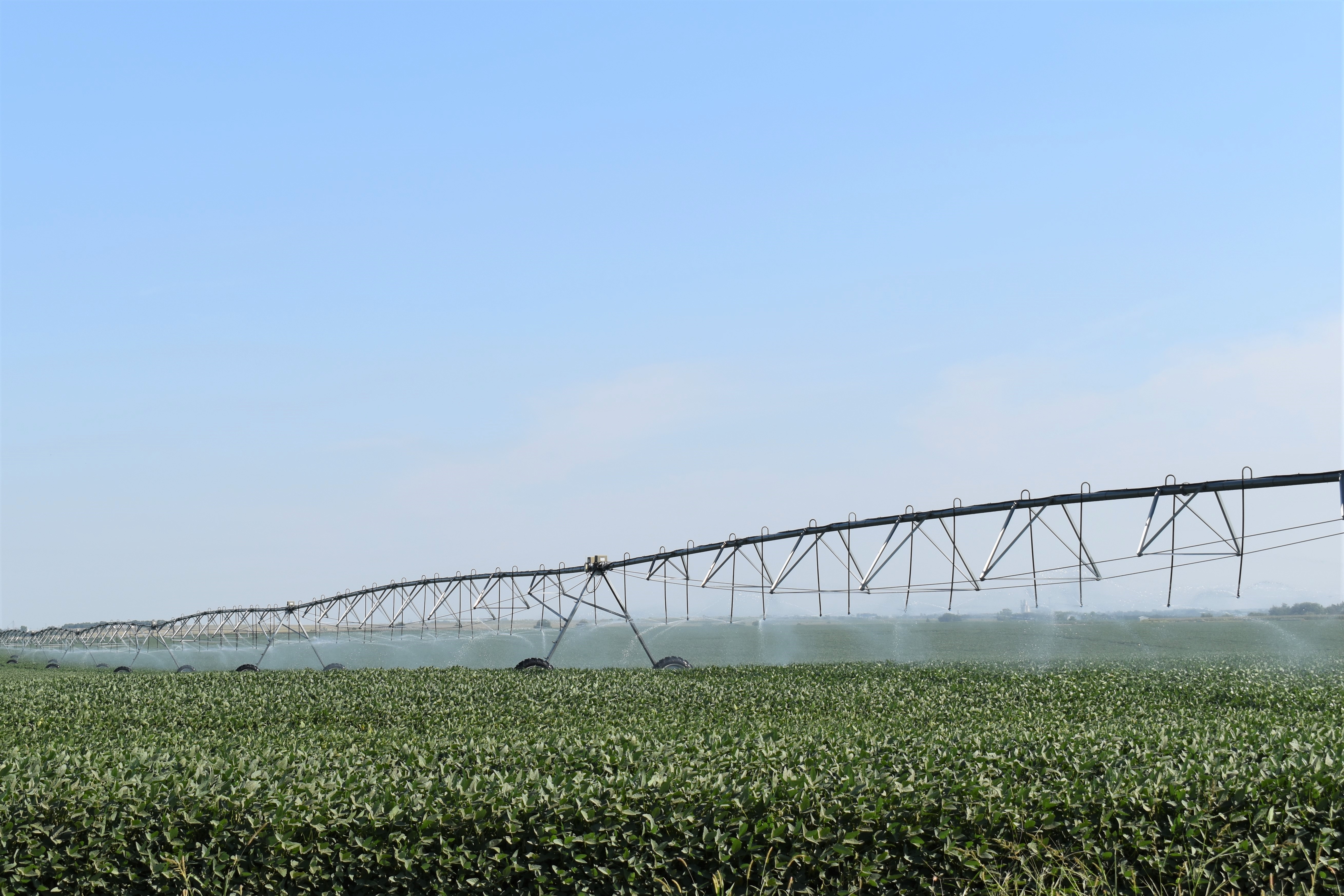 Final Irrigation of the Season