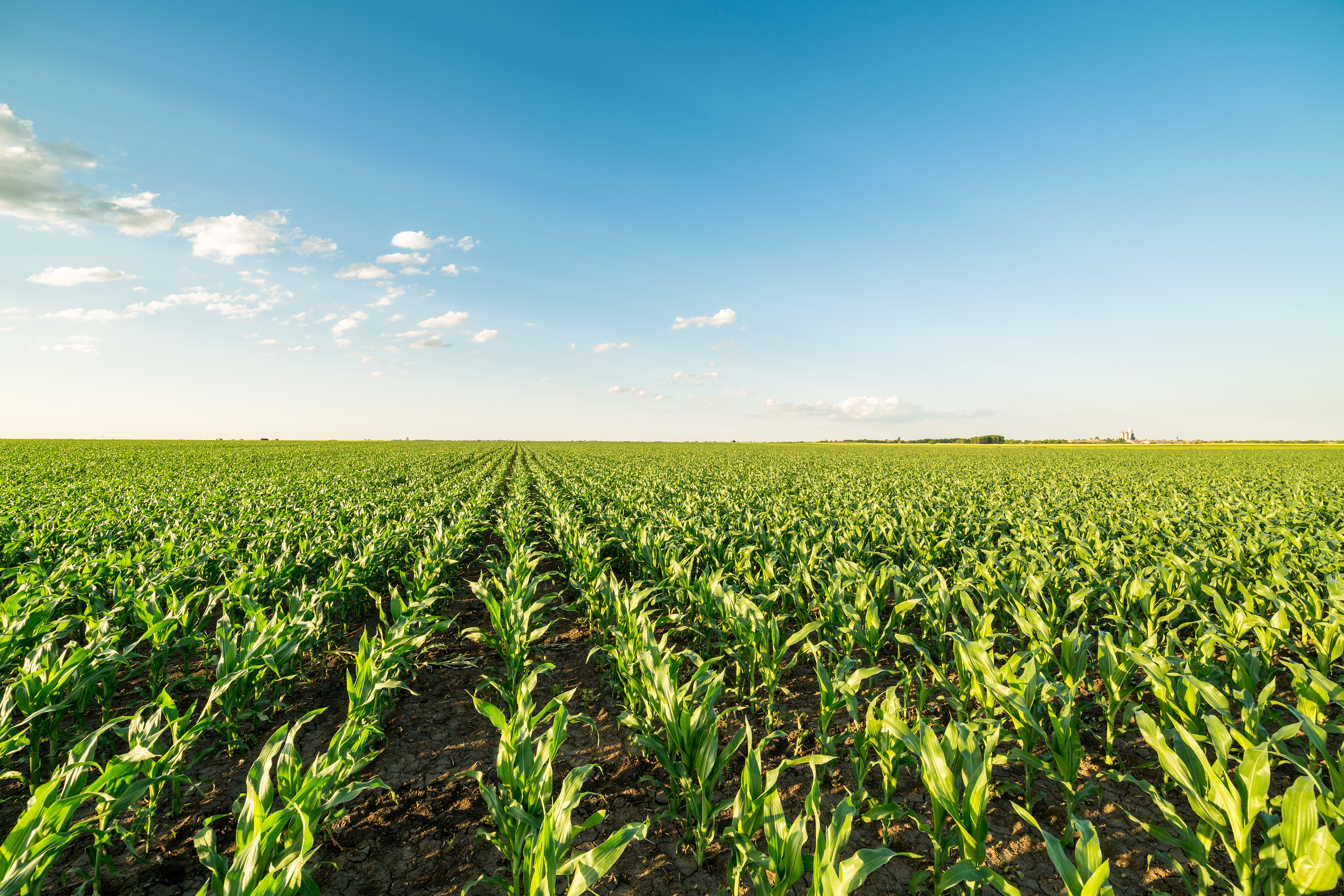 Nitrogen Stabilizers in 2022